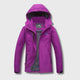Violet / L