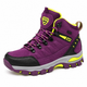 Violette / Jaune