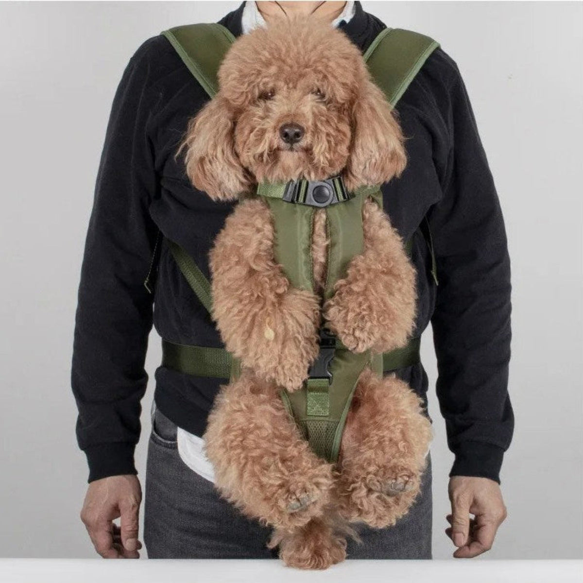 Porte Chien Ventral Randonnée 8
