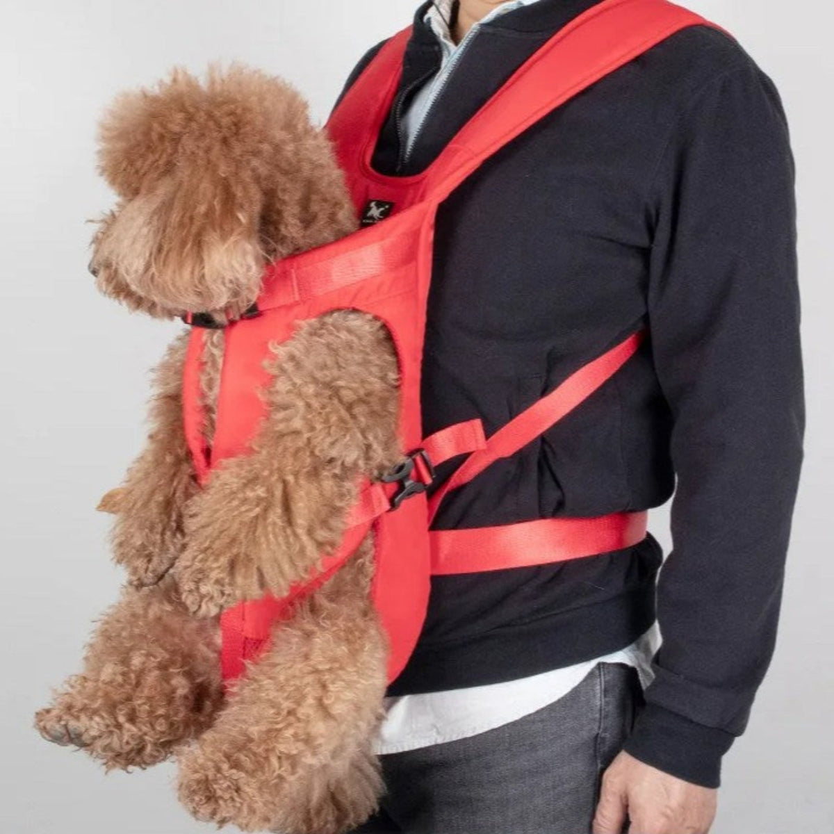 Porte Chien Ventral Randonnée 10