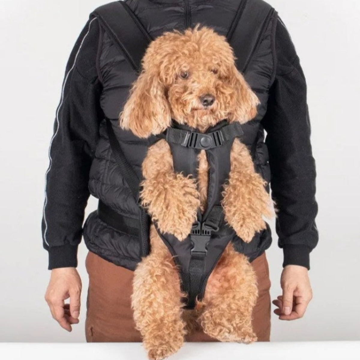 Porte Chien Ventral Randonnée 3