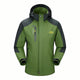 Vert Olive et Noir