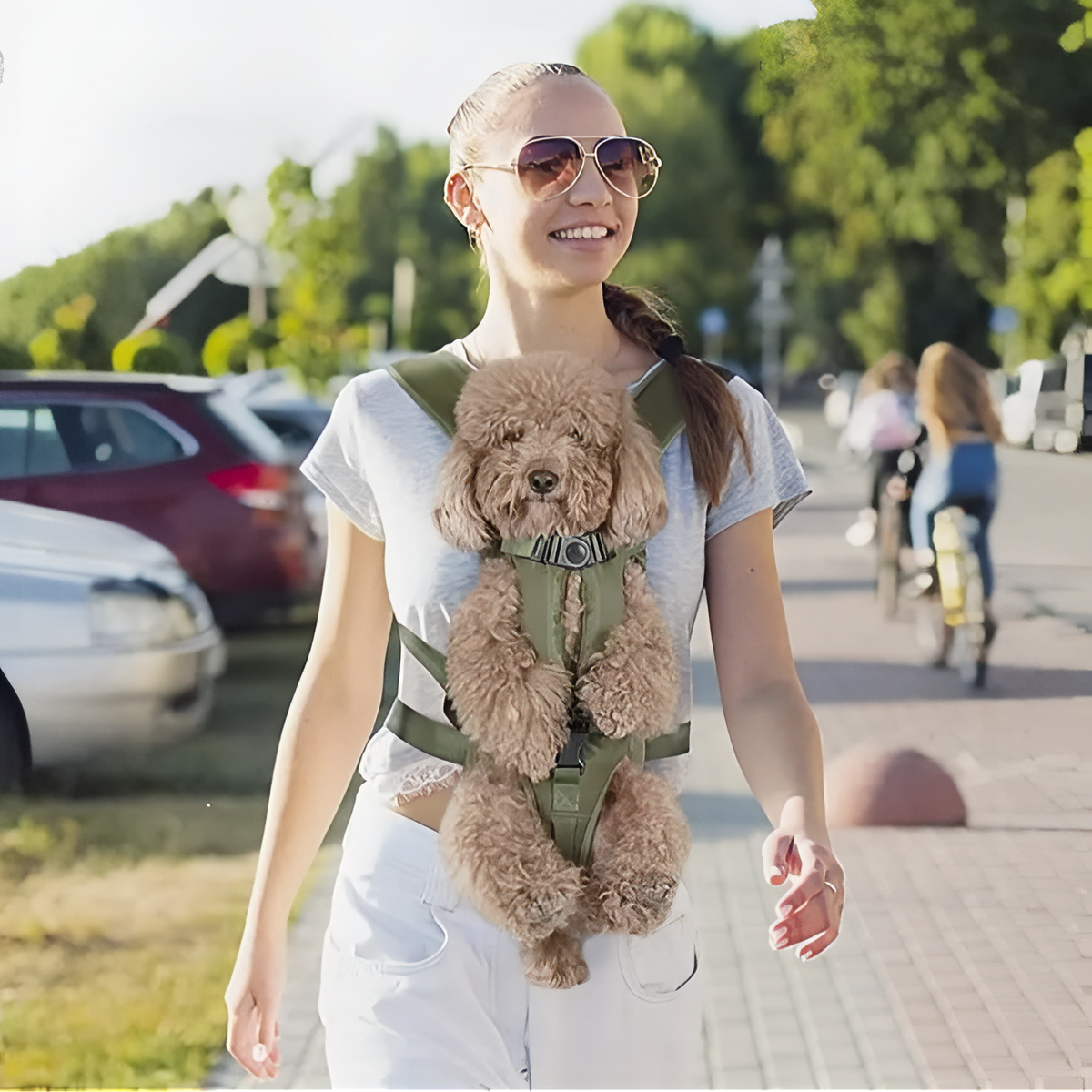 Porte Chien Ventral Randonnée 13
