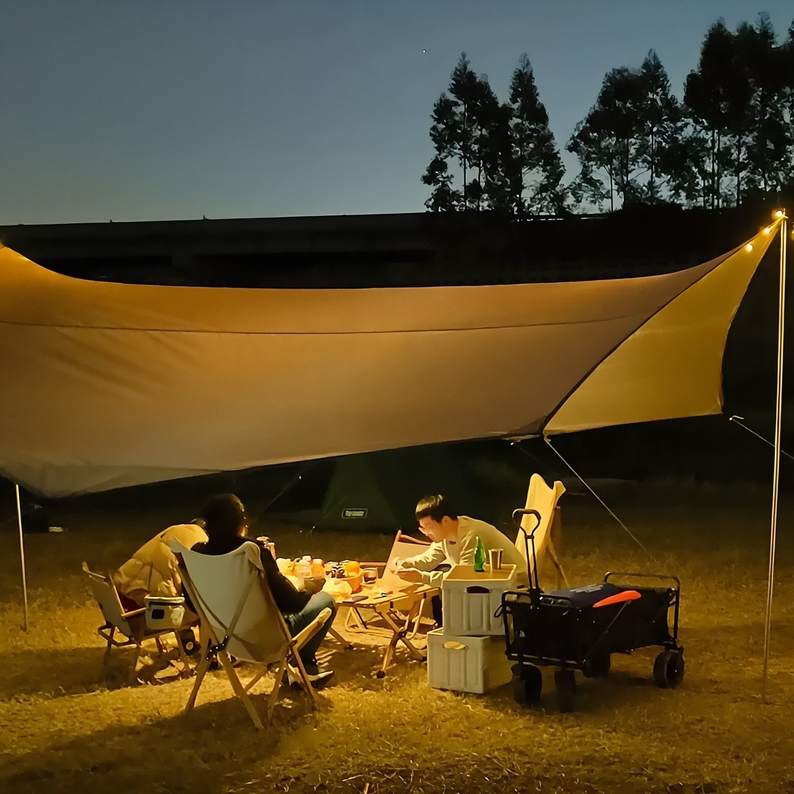 Tarp Camping 5x5