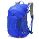RoyalBlue