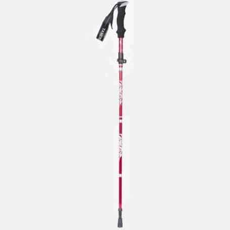 Baton De Randonnée Avec Gantelet