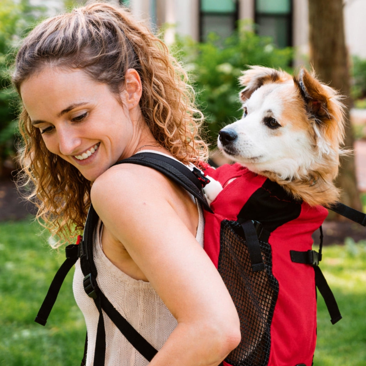 Sac À Dos Porte Chien Randonnée