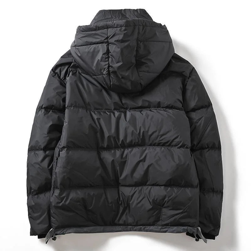 Doudoune randonnée hiver pour homme de dos