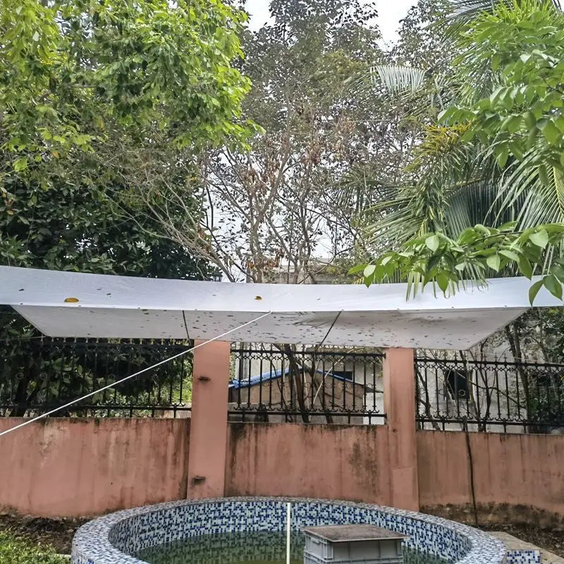 Tarp Cuisine Extérieure De Camping