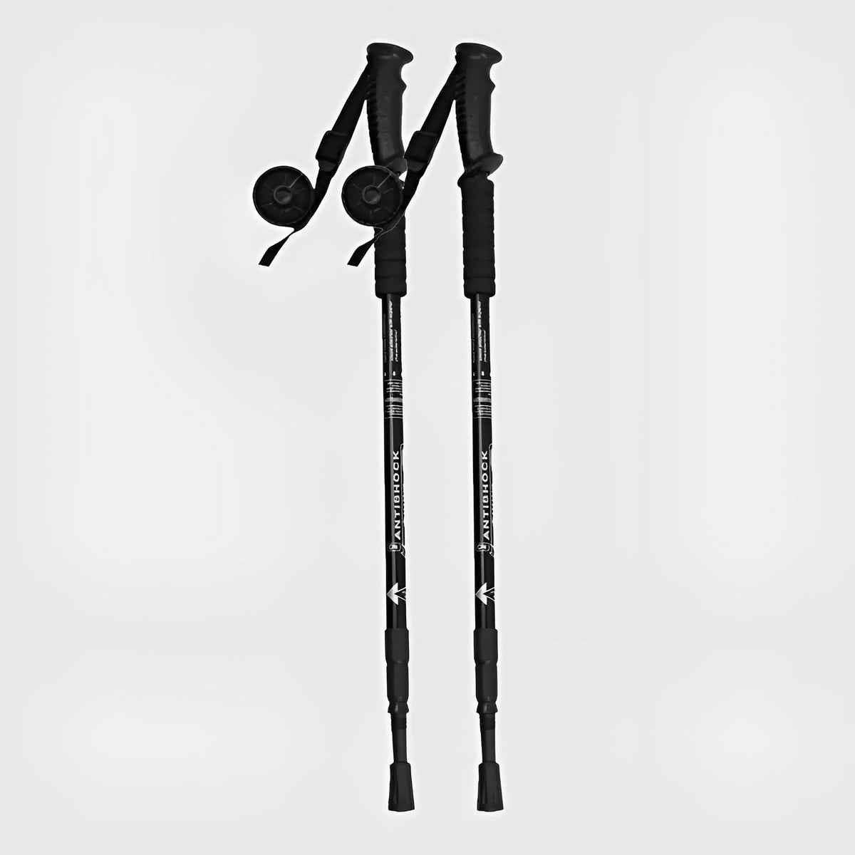 Baton Alpinisme 1