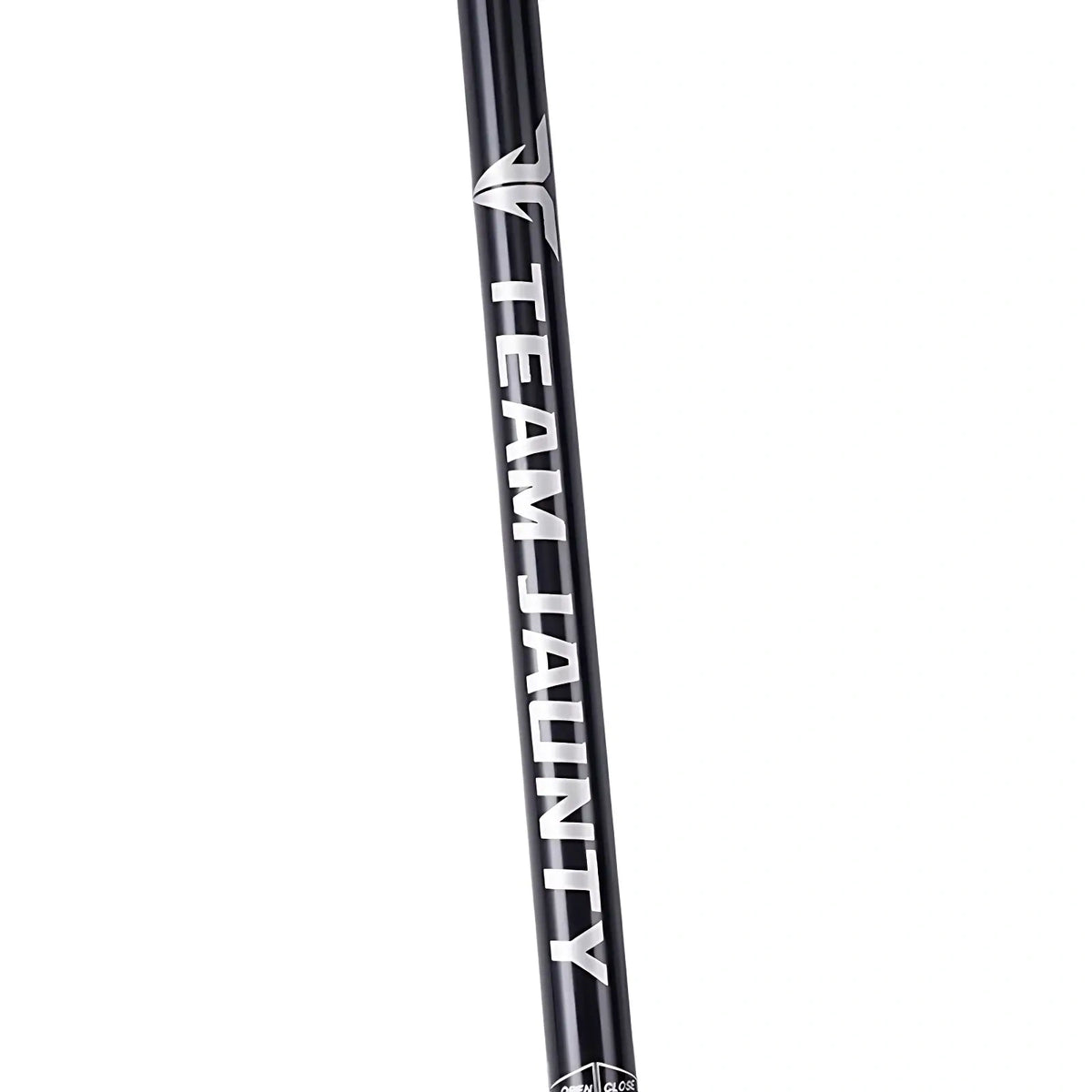 Baton De Randonnée Bois Sculpté 3