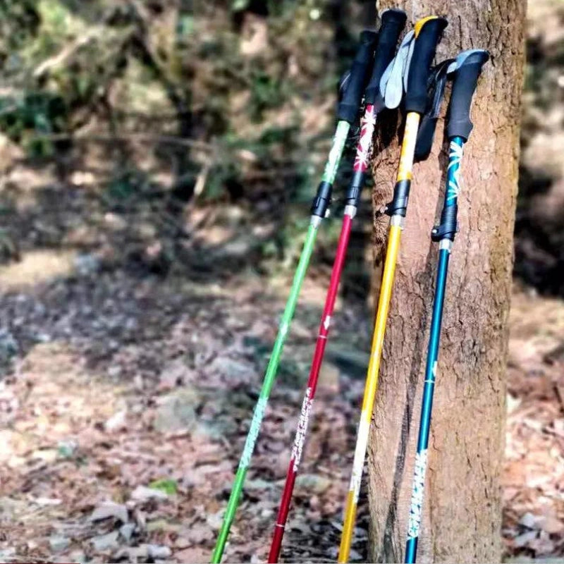 Baton De Randonnée Sans Dragonne