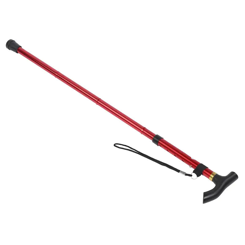 Baton De Marche Nordique Telescopique