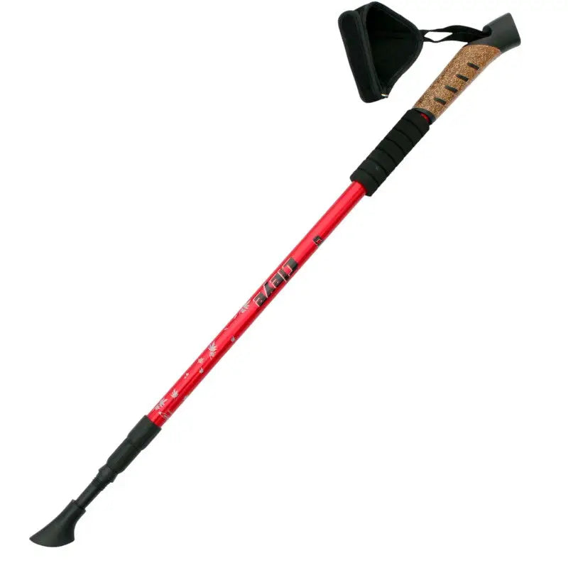 Baton De Randonnée Personne Agée