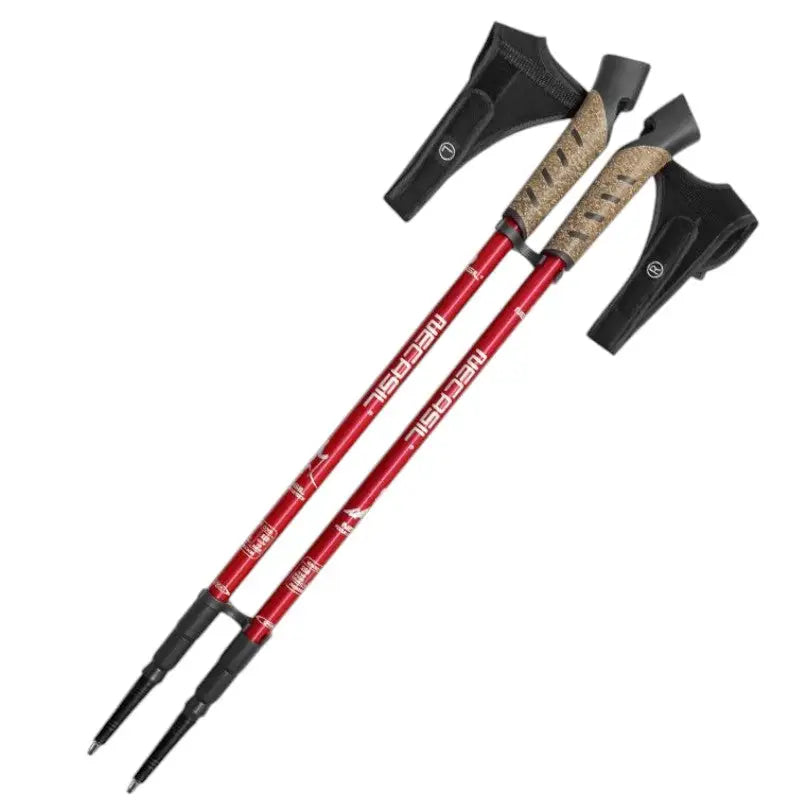 Baton Randonnée Violet