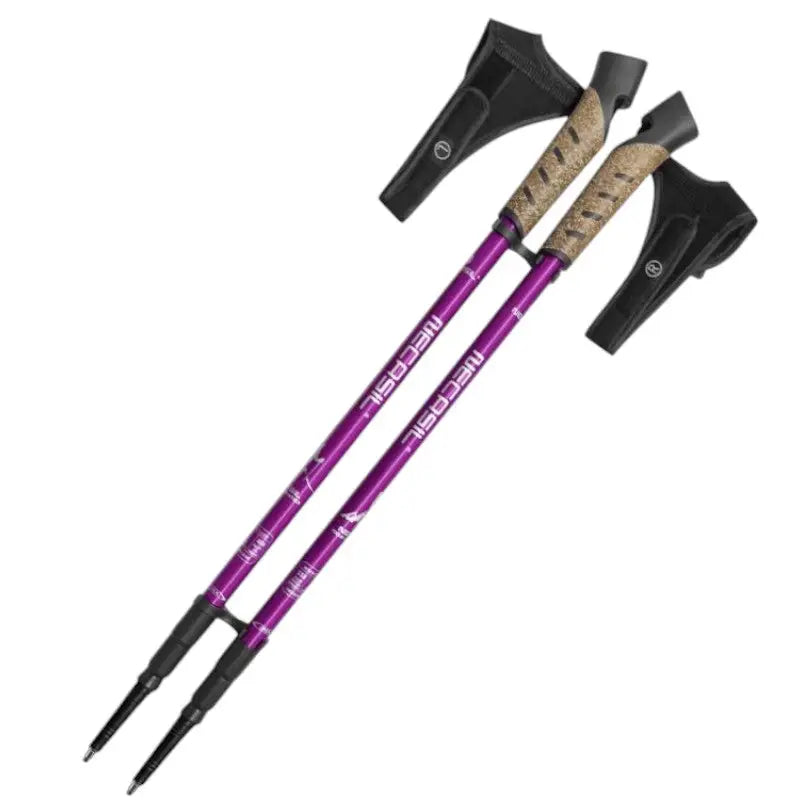 Baton Randonnée Violet