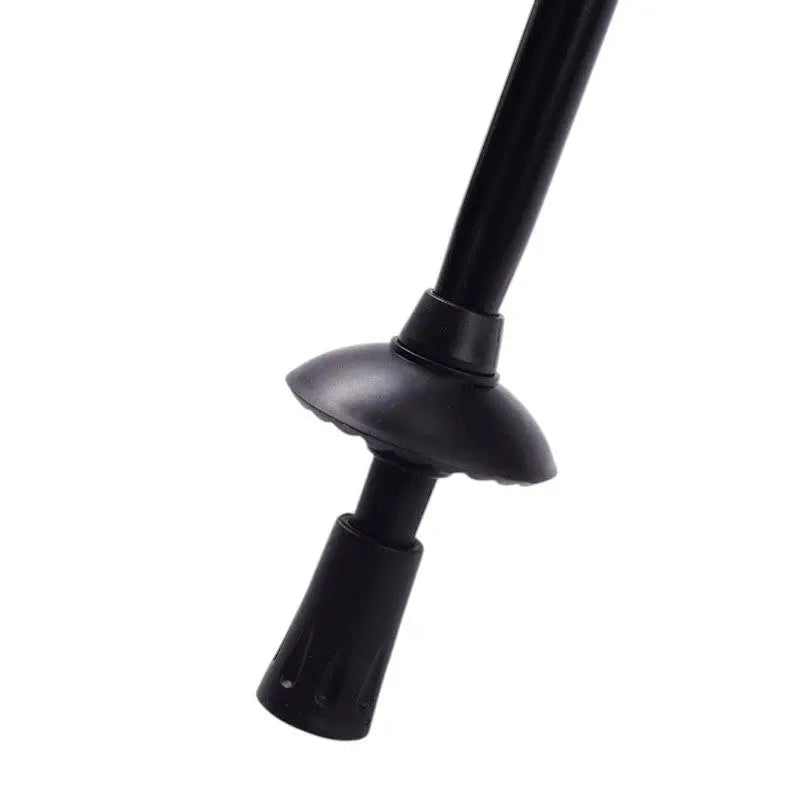 Baton Randonnée Violet