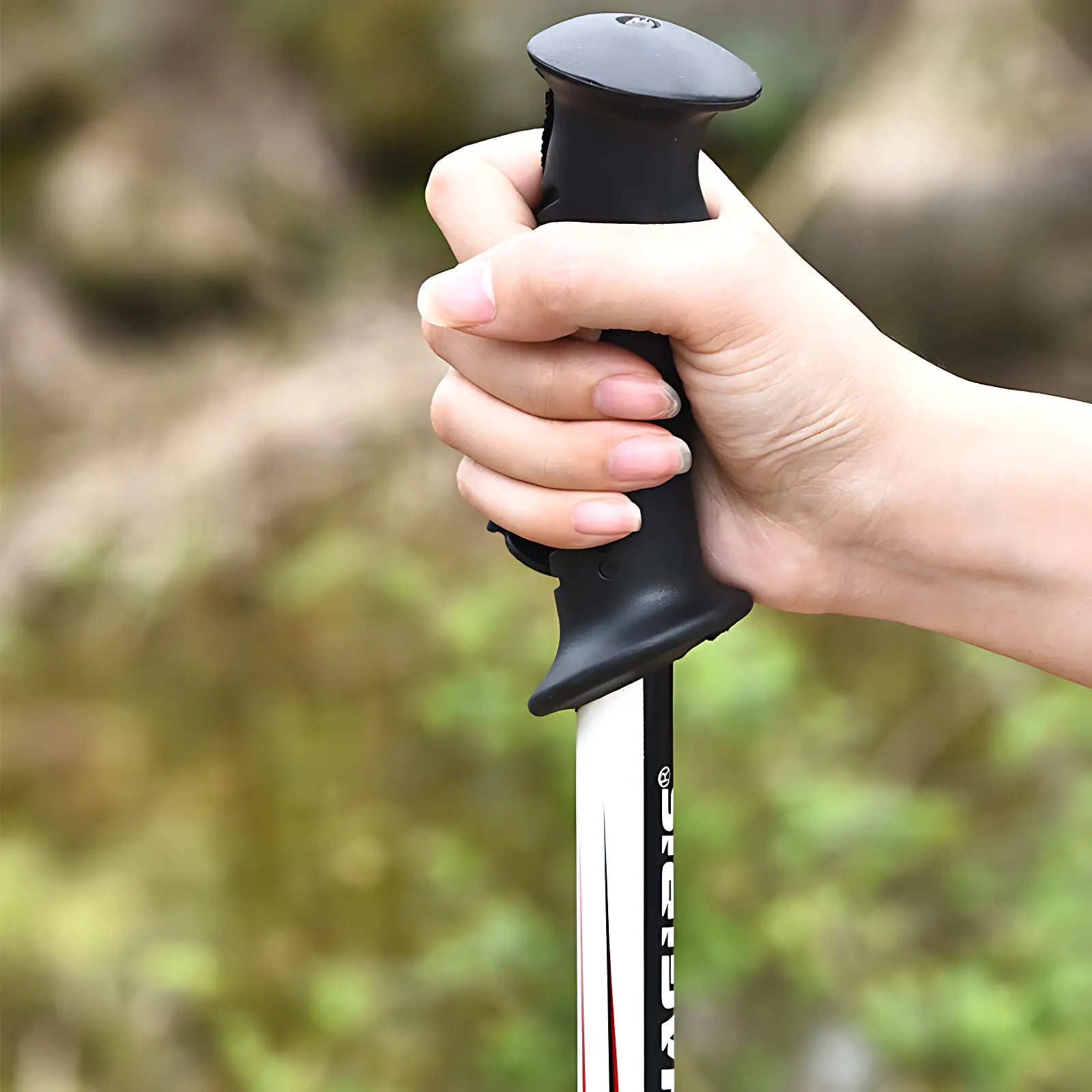 Baton De Randonnée Pour Chasseur