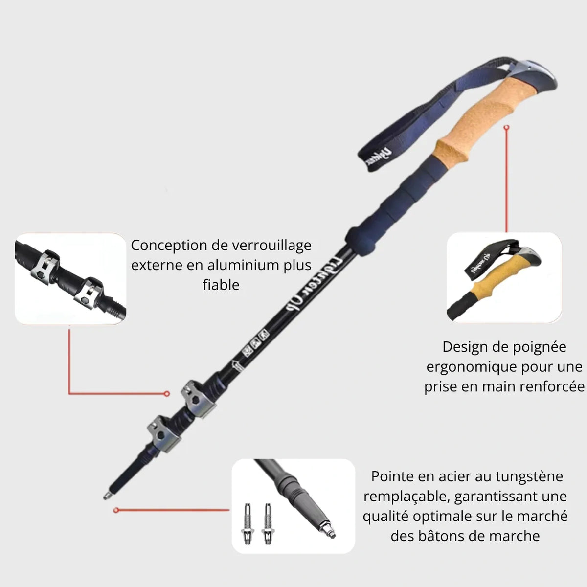 Baton Randonnée Sable 6