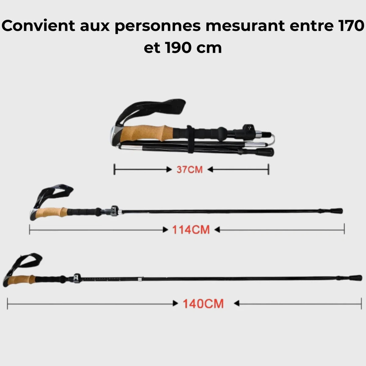 Baton Randonnée Sable 9
