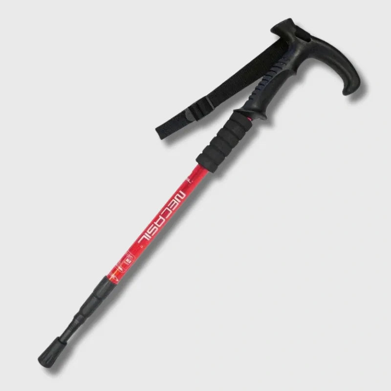 Baton Randonnée Tête Amovible 1