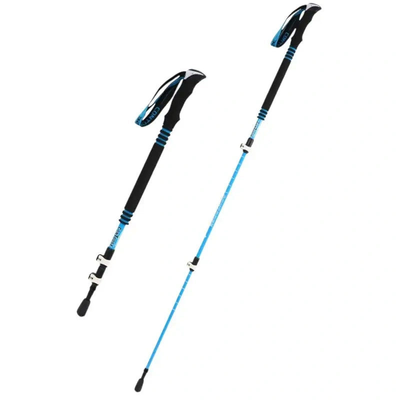 Bâton Trail Carbone 2