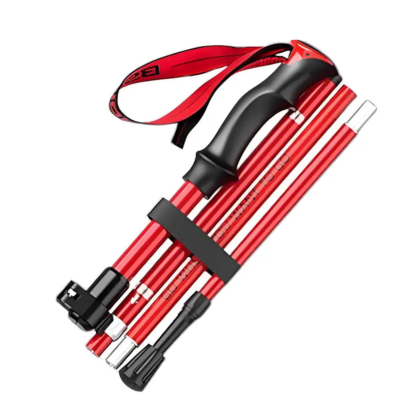 Batons De Randonnée Mixte
