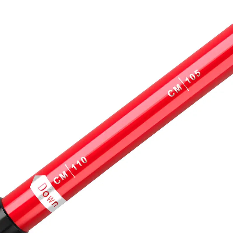 Batons De Randonnée Mixte