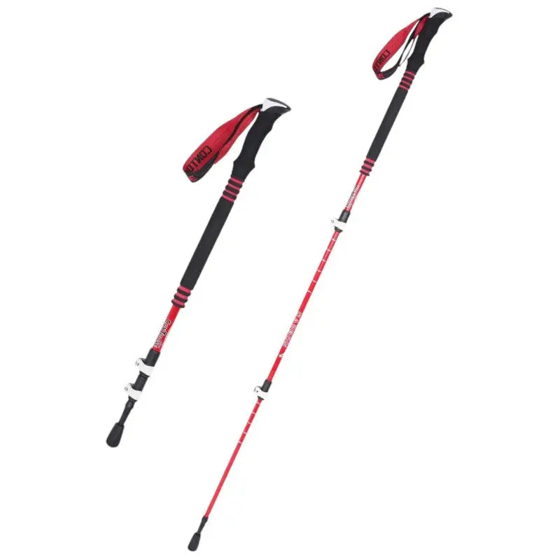 Bâton Trail Carbone