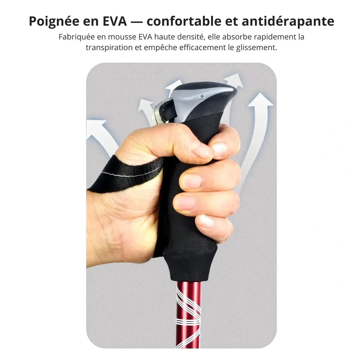 Batons Randonnée Carbone Legers Antishock 2