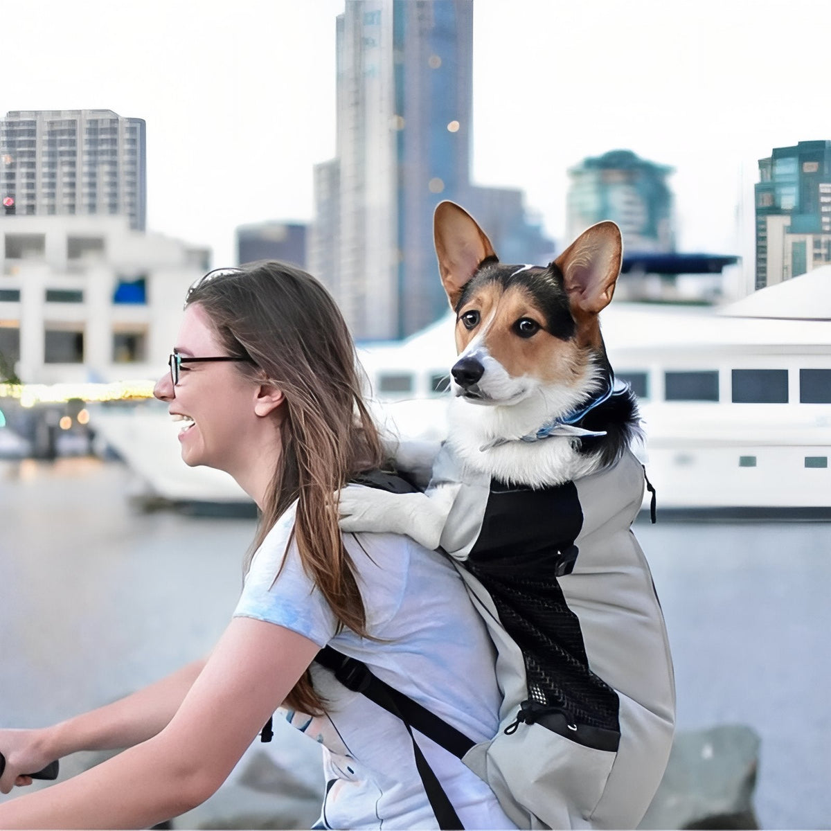 Sac À Dos Porte Chien Randonnée 7