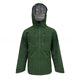 Forestgreen