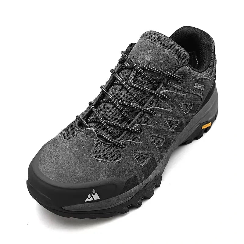 Chaussure Randonnée Homme Grise