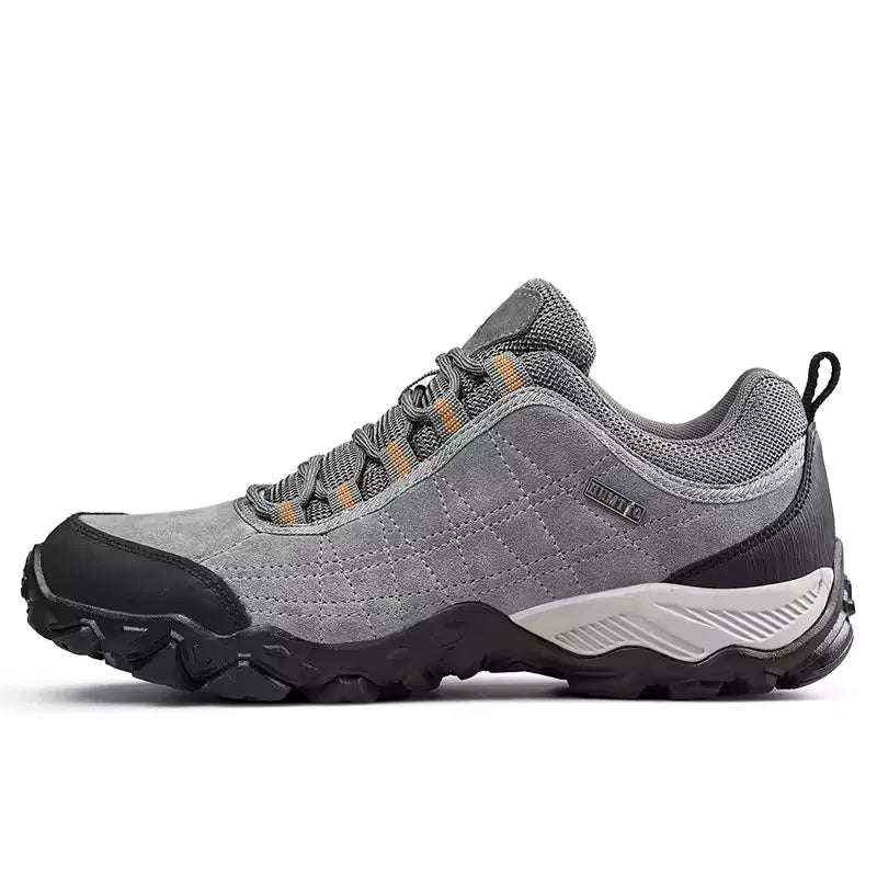 Chaussure Randonnée Homme Basse Légère