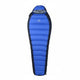 RoyalBlue