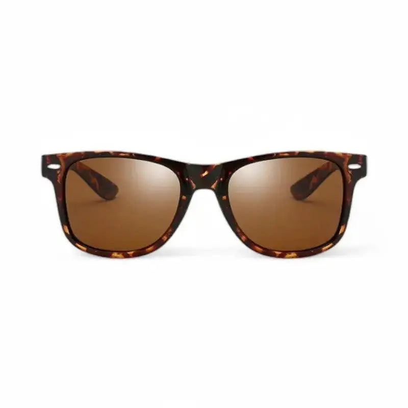 Lunette De Soleil Catégorie 2
