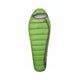 LimeGreen