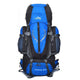 RoyalBlue