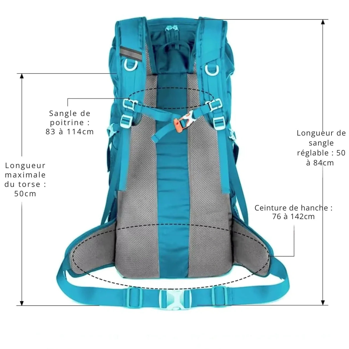 Sac Randonnée Homme 50L 6