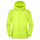 Vert Fluo